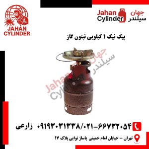 پیک نیک 1 کیلویی نپتون گاز