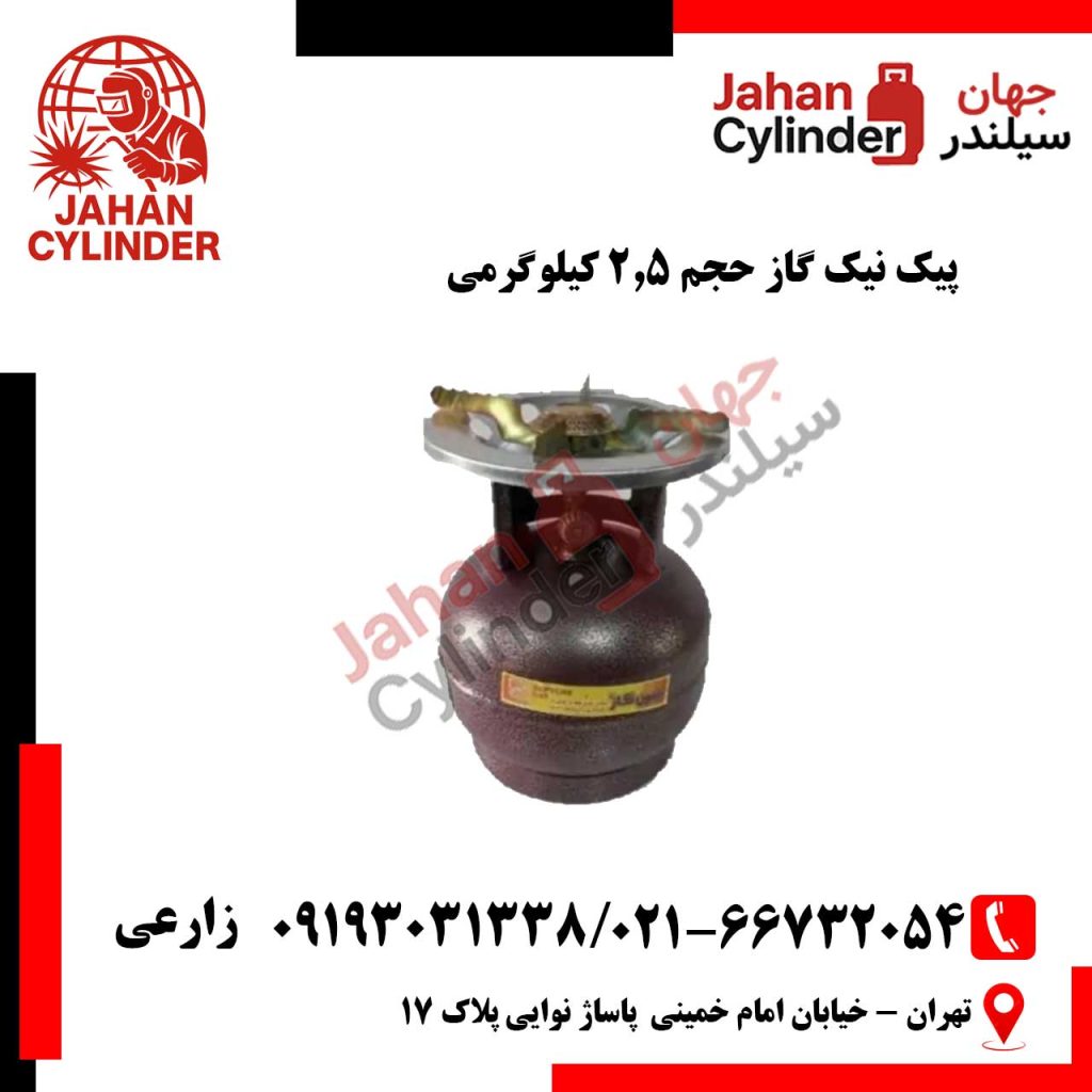 پیک نیک گاز حجم 2.5 کیلوگرمی