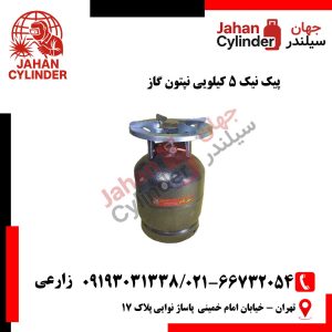 پیک نیک ۵ کیلویی نپتون گاز